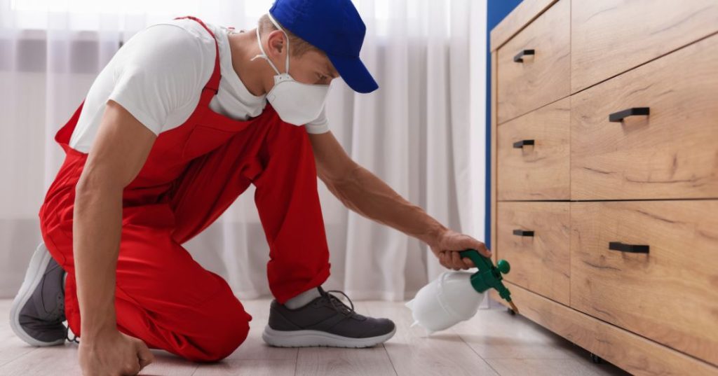 capa dedetizacao em Cotia